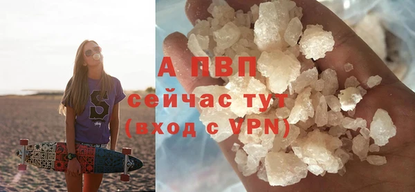 ПСИЛОЦИБИНОВЫЕ ГРИБЫ Лихославль