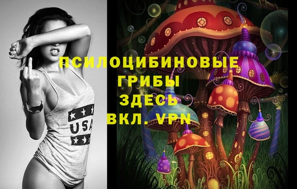 2c-b Липки