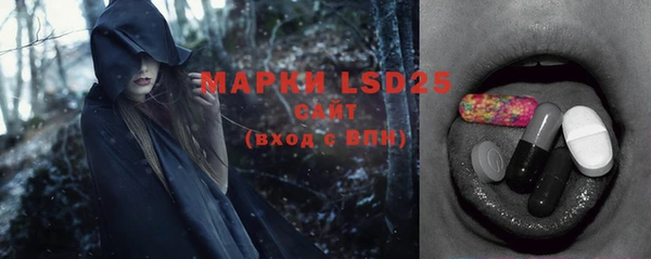ПСИЛОЦИБИНОВЫЕ ГРИБЫ Лихославль