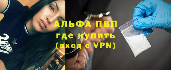 ПСИЛОЦИБИНОВЫЕ ГРИБЫ Лихославль