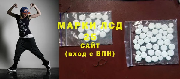 ПСИЛОЦИБИНОВЫЕ ГРИБЫ Лихославль