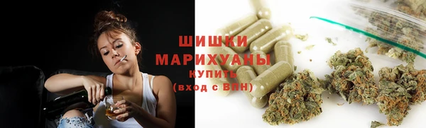 ПСИЛОЦИБИНОВЫЕ ГРИБЫ Лихославль