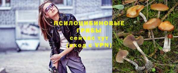 ПСИЛОЦИБИНОВЫЕ ГРИБЫ Лихославль