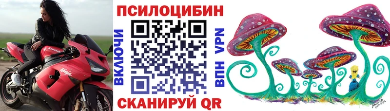 Псилоцибиновые грибы Psilocybe  Купить закладки  Петров Вал 